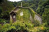 Azzorre, Isola Terceira - escursione a Mata da Serreta.